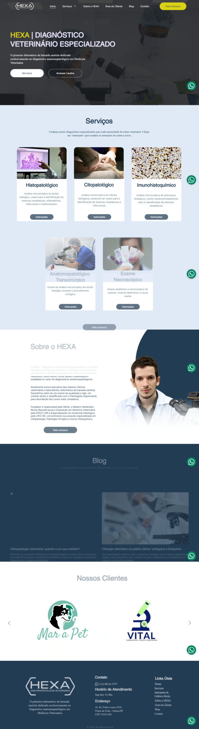 modified image 1 scaled